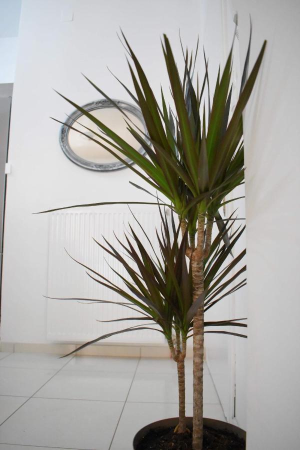4Seasons Apartment Thebes ภายนอก รูปภาพ